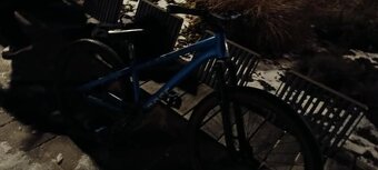 ROSE THE BRUCE SPĚCHÁ - 5