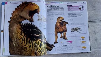 Zvířata a Dinosauři v kostce - 5