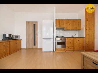 Pronájem 1+Kk, ul. Horní, Ostrava - Bělský Les, 133905 - 5