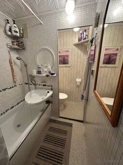 Družstevní byt 1+1+L, Teplice - Trnovany, J.Koziny, 40m2 - 5