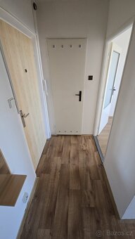 Družstevní byt 1+1+L, Teplice - Trnovany, J.Koziny, 40m2 - 5
