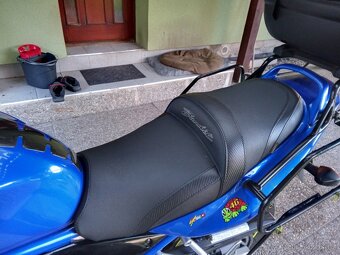 Suzuki Bandit 600 - 5