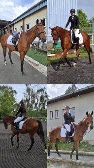 7 letý A1/1 pro jednoho člověka - 5