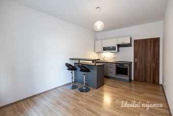 Pronájem bytu 2+kk, Biskupcova, Žižkov, 21900 Kč/měs, 44 m2 - 5