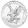 🪙Stříbro - investiční stříbrné mince American Silver Eagle - 5