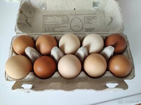Domácí vajíčka od slepiček z volného výběhu a z podestýlky - 5