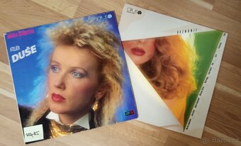 Vinylové desky LP různých interpretů v perfektním stavu - 5