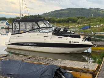 STINGRAY 250CS + príves - 5