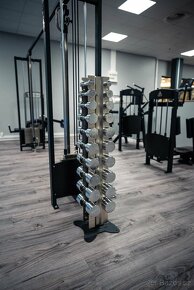 Posilovací kotouče a osy - 5