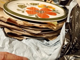 Staré talíře BAVORSKÁ značka - 5