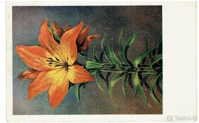 STARÉ POHLEDNICE - 5