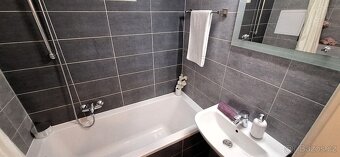 Pronájem bytu 1+kk , Truhlářská, Praha - Nové Město - 5