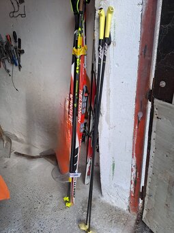 Běžky a hole. PELTONEN. - 5