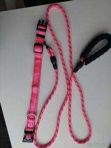 Sada vodítko a obojek - 5