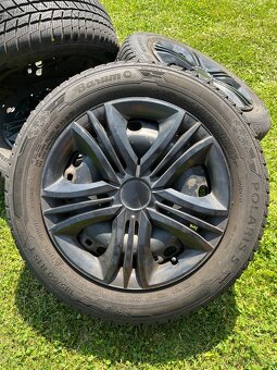 Barum Polaris 5 - 185/60 R15 T - 5