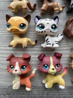 LPS pejsci a kočičky NOVÉ - 5