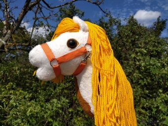 Hobby horse - 5