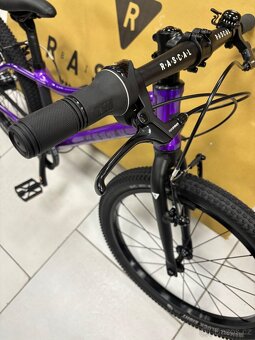 Rascal 20 LTD - 5