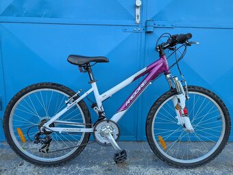 Nevyužité dětské kolo Arcore Violette 24 - 5