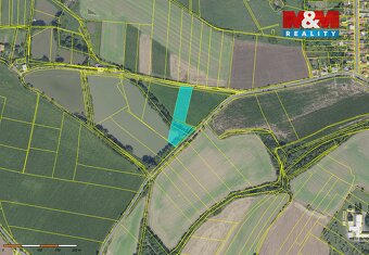 Prodej pozemků 6053 m², Liblice u Českého Brodu - 5