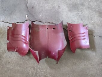 Prsíčka pařez - 5