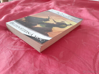 R.A. Salvatore - Legenda o Drizztovi - 5