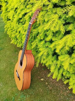 kytara Strunal 470G - 5