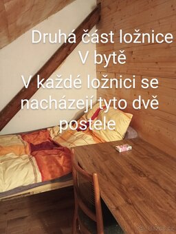 Pronájem bytu - 5