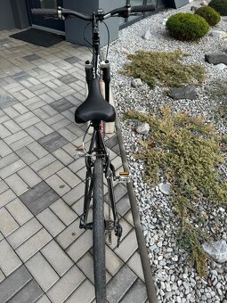 Dámské nebo dívčí MTB kolo Specislized Hot Rock vel. M - 5