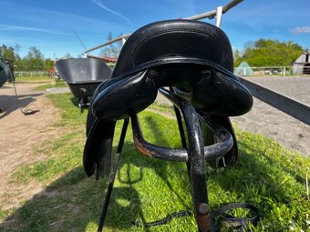 Kentaur young jumper - 5