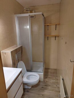 Pronájem apartmánu Bavorská Ruda - 5