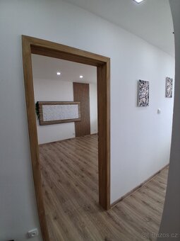 Prodej kompletně zrekonstruovaný byt 1+1 33m2 s lodžií 4m2 - 5