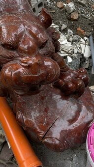 Prodám dovezeného tygra z Japonska - 5