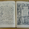 Bible - 5