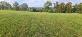 Pozemek určený pro komerční výstavbu o výměře 1322m2 Karlovy - 5