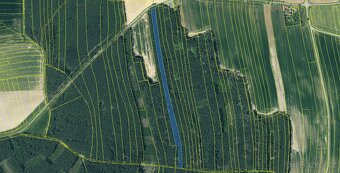 Prodám lesní pozemek v k.ú. Žichlice u Hromnic - 5