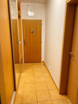 Pronájem byt 1kk (40m2) + park. stání, Čeladná - Farské luky - 5