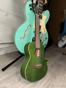 Ukulele Ortega RUFOREST - 5
