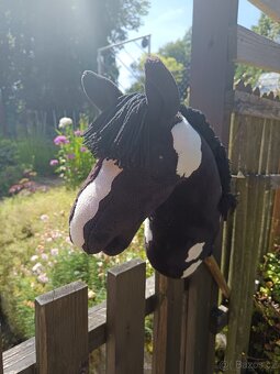 Hobby horse - 5
