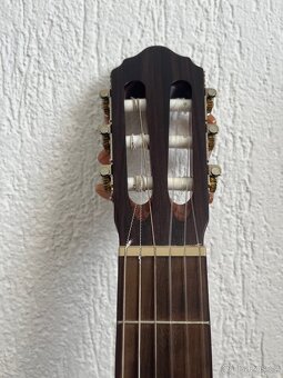 Kytara Cort - 5