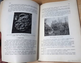 ZAHRADNICTVÍ, ZELINÁŘSTVÍ, OVOCNÁŘSTVÍ, KVĚTINÁŘSTVÍ 1931, - 5