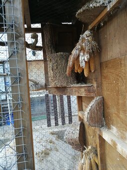 Klec pro chovatele - 5