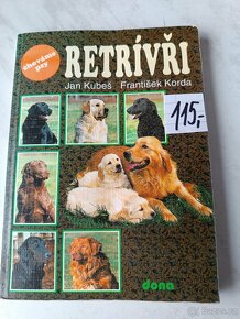 Afghánský chrt pudl westik bišon frise retrivr - 5