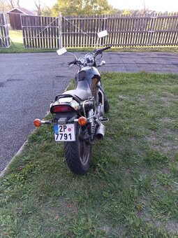 Suzuki VX 800 VS51B - 5