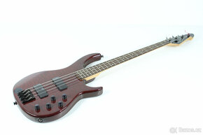 Kytara PEAVEY Millennium AC BXP - 5