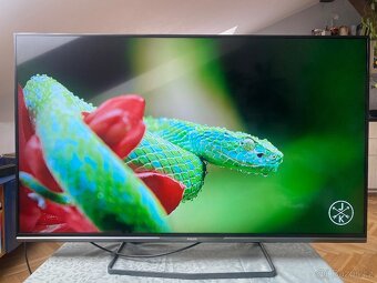 Predam TV - 5