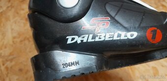 Lyžáky DALBELLO 165 - 5