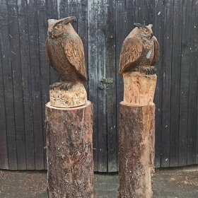 Sova motorovou pilou - 5