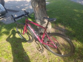 SPECIALIZED+KARBONOVÁ KOLA SILNIČNÍ KOLO IHNED K ODBĚRU - 5