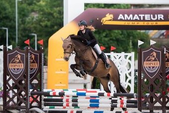 Český sportovní pony s velkým srdcem a potenciálem - 5
